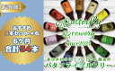 【ふるさと納税】【定期便】楽器シリーズのクラフトビールが毎月1回9本半年間届きます。(計6回)