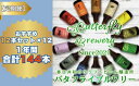 【ふるさと納税】【定期便】楽器シリーズのクラフトビールが毎月1回12本1年間届きます。(計12回)