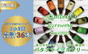 【ふるさと納税】【定期便】楽器シリーズのクラフトビールが毎月1回6本半年間届きます。(計6回)