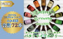 【ふるさと納税】【定期便】楽器シリーズのクラフトビールが毎月1回12本半年間届きます。(計6回)