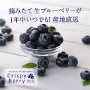 名称 春夏秋冬いつでも旬の国産生ブルーベリーを味わうセット【クリスピーベリー】 100gパック×3 保存方法 冷蔵 発送時期 お申込みより2週間程度で順次発送 提供元 アグリガスコム株式会社 配達外のエリア 離島 お礼品の特徴 2021年1...