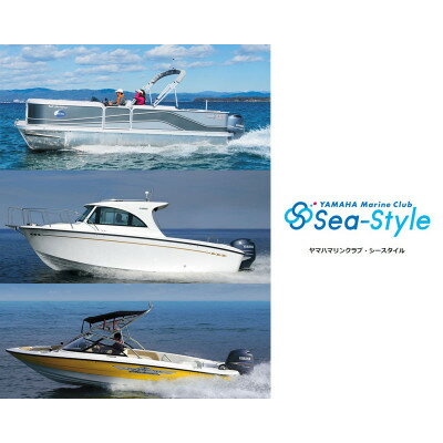 【ふるさと納税】三河みとマリーナ利用券　300,000円分_ 利用券 チケット 三河みとマリーナ 10,000円券×30枚 係留 陸上艇置 修理工賃 船舶修理 レンタルボート利用料 海 船 旅行 旅 釣り 観光 愛知県 豊川市 送料無料 【1286242】