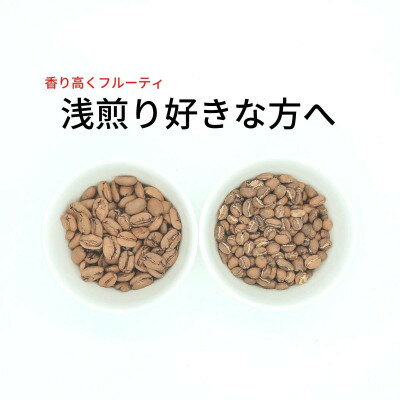 スペシャルティコーヒー 浅煎り コーヒー豆2種類セット 合計600g(豆のまま)