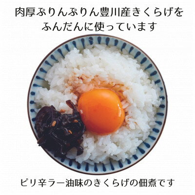 【ふるさと納税】【メシ!酒!】きくらげラー油詰替20パック☆詰替え用きくらげ佃煮☆卵かけご飯、酒の肴に!【1414810】