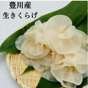 【ふるさと納税】豊川産生きくらげ 朝採りたての選りすぐり 白400g【配送不可地域:離島】【1445711】