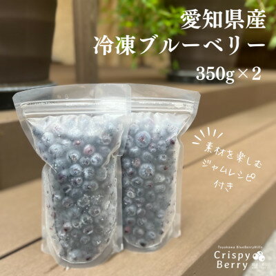 【愛知県産】【ジャムレシピ付き】冷凍ブルーベリー700g(350g×2)【配送不可地域：離島】【1456752】