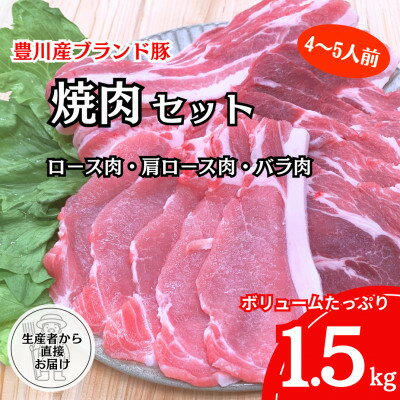 【生産者から直送】豊川産豚肉「とよかわみー豚」　焼肉セット【配送不可地域：離島・北海道・沖縄県】【1478988】