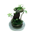 【ふるさと納税】苔盆景 苔盆栽 森の秘境【1489435】