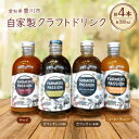 9位! 口コミ数「0件」評価「0」コーヒーチェリーのコーラベース、カフェオレベース(加糖/無糖)、チャイベース 300ml×4本【1489842】