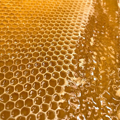 【ふるさと納税】豊川産百花はちみつ　180g瓶×2本【1618159】