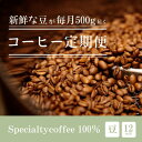 【ふるさと納税】【毎月定期便】毎月違うコーヒー豆をお届け スペシャルティコーヒー 豆 500g全12回【4076153】