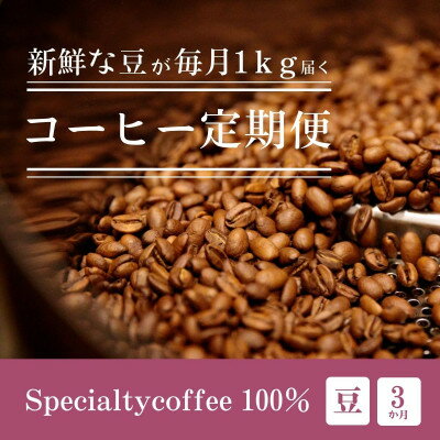 【ふるさと納税】【毎月定期便】毎月違うコーヒー豆をお届け スペシャルティコーヒー 豆 1kg全3回【4076155】