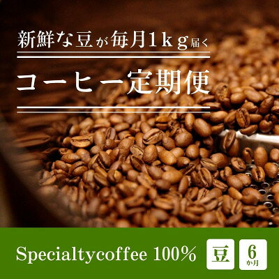 【ふるさと納税】【毎月定期便】毎月違うコーヒー豆をお届け スペシャルティコーヒー 豆 1kg全6回【4076157】