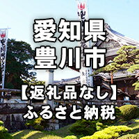【ふるさと納税】愛知県豊川市への寄付（返礼品はありません）