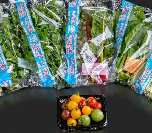 【ふるさと納税】「川助農園」季節の野菜セット