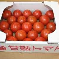 [5月末まで申込受付]とっても甘〜い!川助農園のフルーツトマト1.5kg以上(最大糖度15.3度!!)