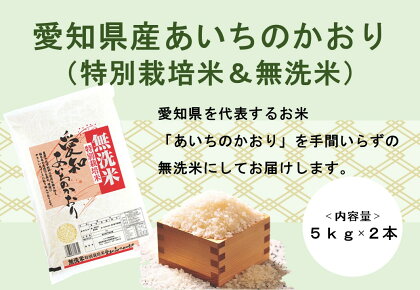 【令和5年産】愛知県産あいちのかおり(特別栽培米＆無洗米)5kg×2本