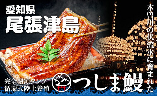 【ふるさと納税】【純国産ウナギ】つしま鰻蒲焼3尾入(450g)