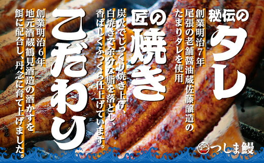 【ふるさと納税】【純国産ウナギ】つしま鰻蒲焼3尾入(450g)