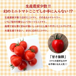 【ふるさと納税】お試し トマト 甘さ抜群 トマト嫌い 食べられるトマトベリー 700g 1月 〜 4月 発送 幻 ミニトマト 健康 リコピン お取り寄せ お取り寄せグルメ 国産 野菜 新鮮 食品 産地直送 送料無料･･･ 画像2