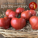 野菜・きのこ(トマト)人気ランク5位　口コミ数「104件」評価「4.36」「【ふるさと納税】たった3ヶ月しか食べられない 幻 フルーツ トマト ファーストトマト 700g 前後 初恋 フルーツトマト 特に美味しくなる 3月～5月発送 愛知県 碧南市 長田農園 完全木熟栽培 薄皮 もっちり食感 甘い 濃厚 美味しい 野菜 リコピン お取り寄せ 送料無料」