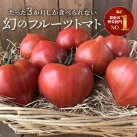 【ふるさと納税】たった3ヶ月しか食べられない 幻 フルーツ トマト ファーストトマト 700g 前後 初恋 フルーツトマト 特に美味しくなる 3月～5月発送 愛知県 碧南市 長田農園 完全木熟栽培 薄皮 もっちり食感 甘い 濃厚 美味しい 野菜 リコピン お取り寄せ 送料無料