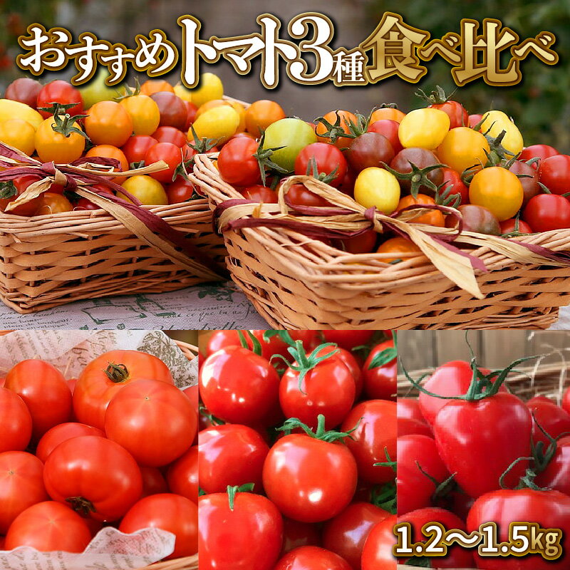 【ふるさと納税】長田農園しかできない夢の共演 個数限定 おすすめトマト 3種 食べ比べ 1.2～1.5kg ミ...