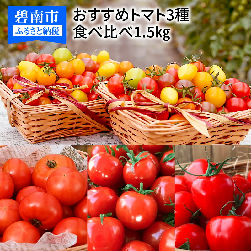 ミニトマトのふるさと納税返礼品(おすすめ)│2022最新情報【HISふるさと納税比較】 ミニトマトのふるさと納税返礼品(おすすめ)│2022最新情報【HISふるさと納税比較】