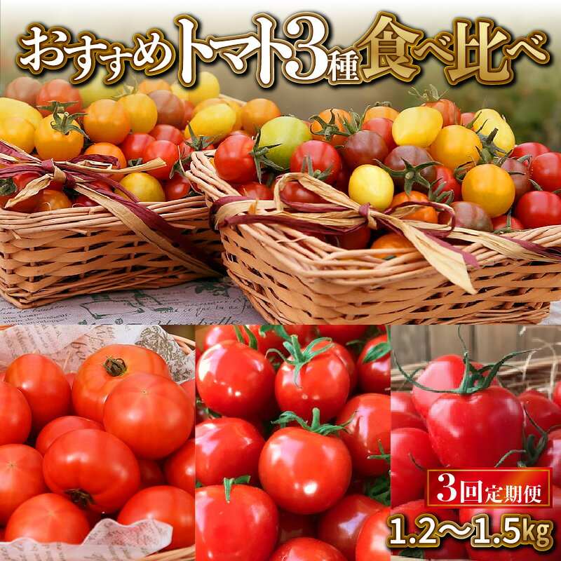 【ふるさと納税】【個数限定】おすすめトマト3種 食べ比べ 1.2kg 1.5kg 3回定期便 トマト 定期便 ミニトマト 定期便 野菜 野菜生活 野菜 詰め合わせ 長田農園しかできない夢の共演