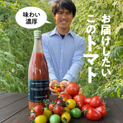 【ふるさと納税】碧南市野菜部門ナンバーワン 福箱 福袋 トマトでハッピー 長田農園 厳選 トマト 約1.4kg トマトジュース 720ml 1本 ジュエリートマト トマトベリー 大玉トマト 2種 トマト100％使用 福箱限定 数量限定 期間限定 セット 愛知県 碧南市 送料無料･･･ 画像2