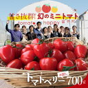 【ふるさと納税】お試し トマト 甘さ抜群 トマト嫌い 食べられるトマトベリー 700g 1月 〜 4月 発送 幻 ミニトマト 健康 リコピン お取り寄せ お取り寄せグルメ 国産 野菜 新鮮 食品 産地直送 送料無料･･･