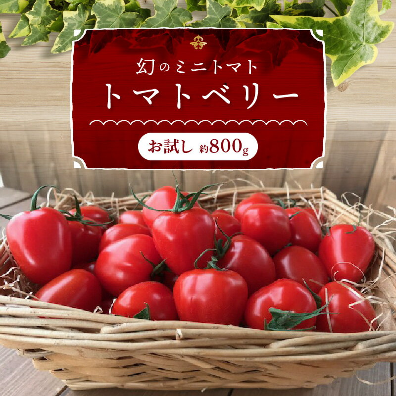 楽天愛知県碧南市【ふるさと納税】 高評価☆4.69 トマト嫌いも食べられる トマトベリー お試し 約 800g 甘い いちご型 フルーツミニトマト ミニトマト トマト 肉厚 薄皮 完全木熟栽培 リコピン お取り寄せ お取り寄せグルメ 野菜 産地直送 長田農園 愛知県 碧南市 送料無料