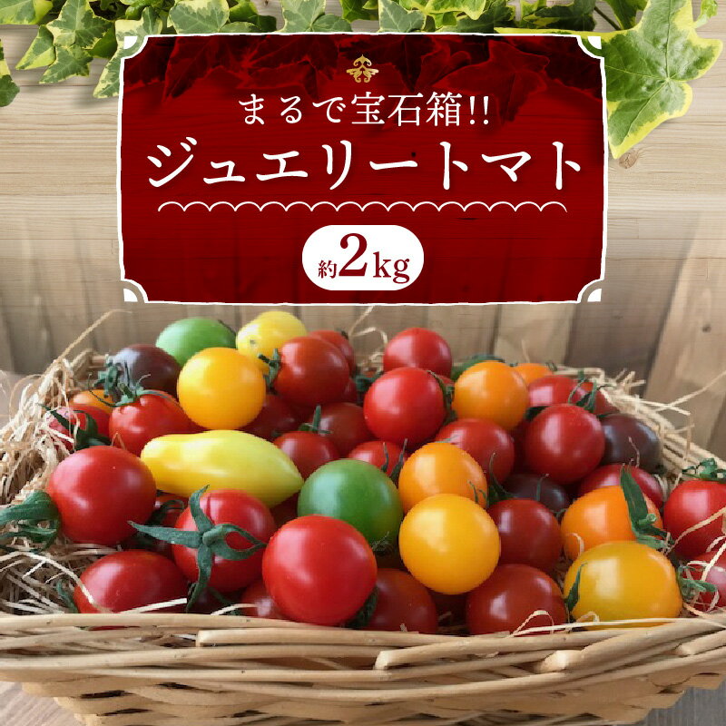 【ふるさと納税】フルーティーな味わいが魅力 フルーツジュエリートマト 2kg ミニトマト トマト 4月〜6月発送 長田農園 甘い 健康 濃厚 完熟 完全木熟栽培 リコピン 色とりどり ジュエリートマト お取り寄せ 愛知県 碧南市 送料無料