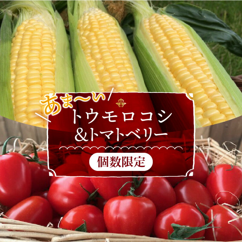 【 個数限定 】あま〜い トウモロコシ ＆ トマトベリー　長田農園 夢の共演 トウモロコシ ミニトマト とうもろこし 長田農園 野菜 トマト フルーツトマト トマトベリー 送料無料 碧南市 愛知県