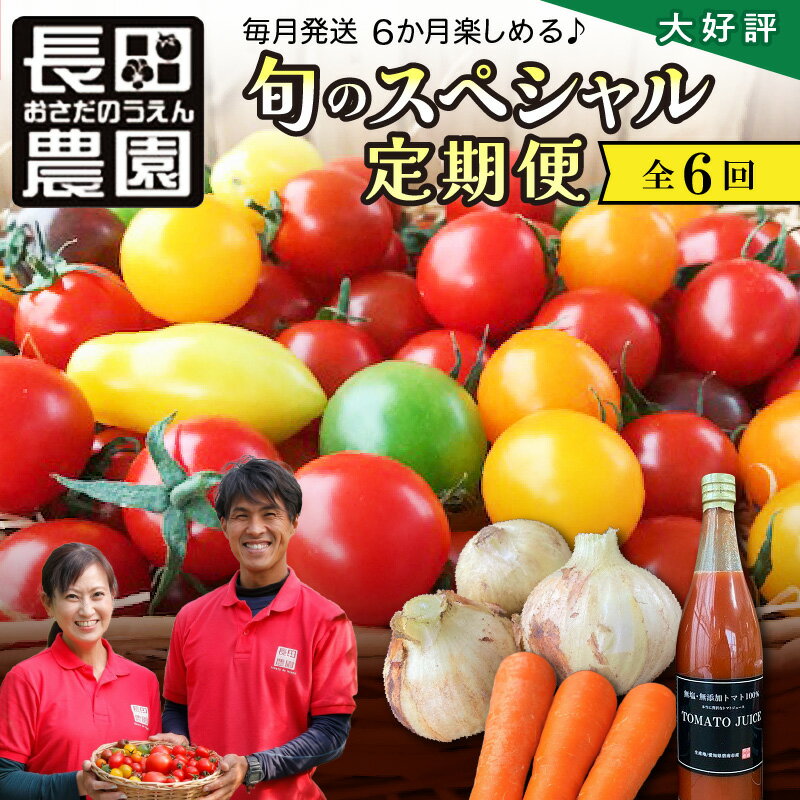 【ふるさと納税】大好評 1月〜6月毎月発送 6か月楽しめる 長田農園 旬 スペシャル 定期便 6回 長田農...