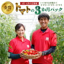 【ふるさと納税】4月~6月 お届け トマト 定期便 3回 トマト好き 全員集合 3か月 3ヶ月 お届け パック 野菜ソムリエサミット 金賞 受賞 長田農園 ジュエリートマト トマトベリー フルーツトマト トマトジュース 新たまねぎ セット 産地直送 愛知県 碧南市 送料無料