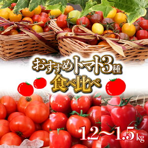 【ふるさと納税】長田農園しかできない夢の共演 個数限定 おすすめトマト 3種 食べ比べ 1.2～1.5kg ミニトマト トマト さくらんぼトマト フルーツジュエリーミニトマト トマトベリー プレミアムフルーツトマト 完全木熟 野菜 お取り寄せ 長田農園 愛知県 碧南市 送料無料