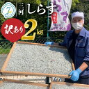 【ふるさと納税】高評価☆4.81 訳あり しらす干し 国産 1kg × 2 計 2kg 不揃い 釜茹で しらす 鮮度抜群 三河しらす 塩…