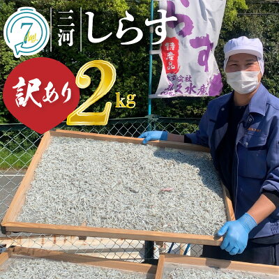 楽天ふるさと納税　【ふるさと納税】高評価☆4.81 訳あり しらす干し 国産 1kg × 2 計 2kg 不揃い 釜茹で しらす 鮮度抜群 三河しらす 塩分控えめ まろやかな味 やみつき ご飯のお供 おつまみ 酒の肴 おやつ しらす丼 サラダ 海産物 魚 冷凍 お取り寄せ グルメ 食品 愛知県 碧南市 送料無料