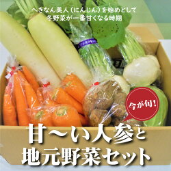 【ふるさと納税】【先行受付】今が旬！甘〜い人参と地元野菜セット へきなん美人 にんじん 人参 大根 かぶ キャベツ 冬野菜 画像1