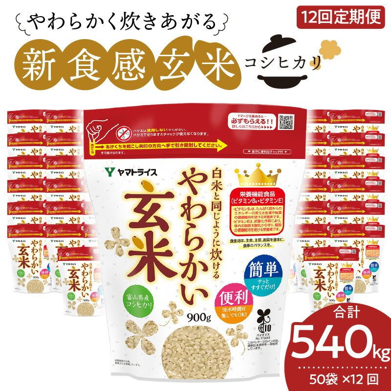 【ふるさと納税】玄米 定期便 12ヶ月 45kg（900g×50袋） 富山県産コシヒカリ 白米と同じように炊けるやわらかい玄米 安心安全なヤマトライス