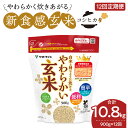 【ふるさと納税】やわらかい玄米 900g ※12回定期便 安心安全なヤマトライス
