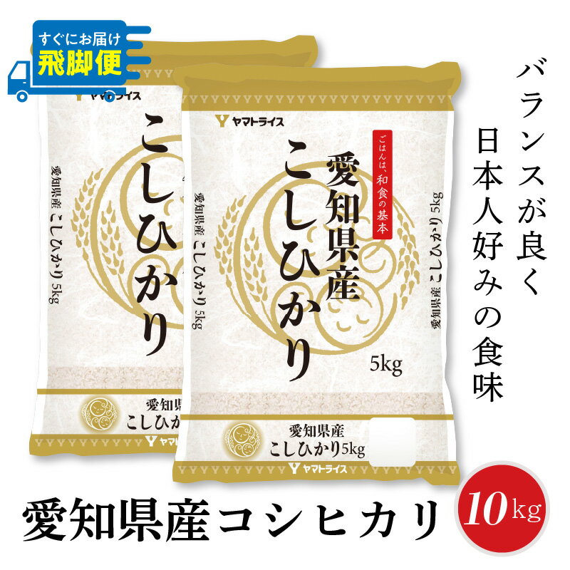 【ふるさと納税】愛知県産コシヒカリ 10kg(5kg×2袋)　安心安全なヤマトライス お米 弁当 おにぎり 食品 食べ物 常温 お取り寄せ 送料無料 愛知県 碧南市