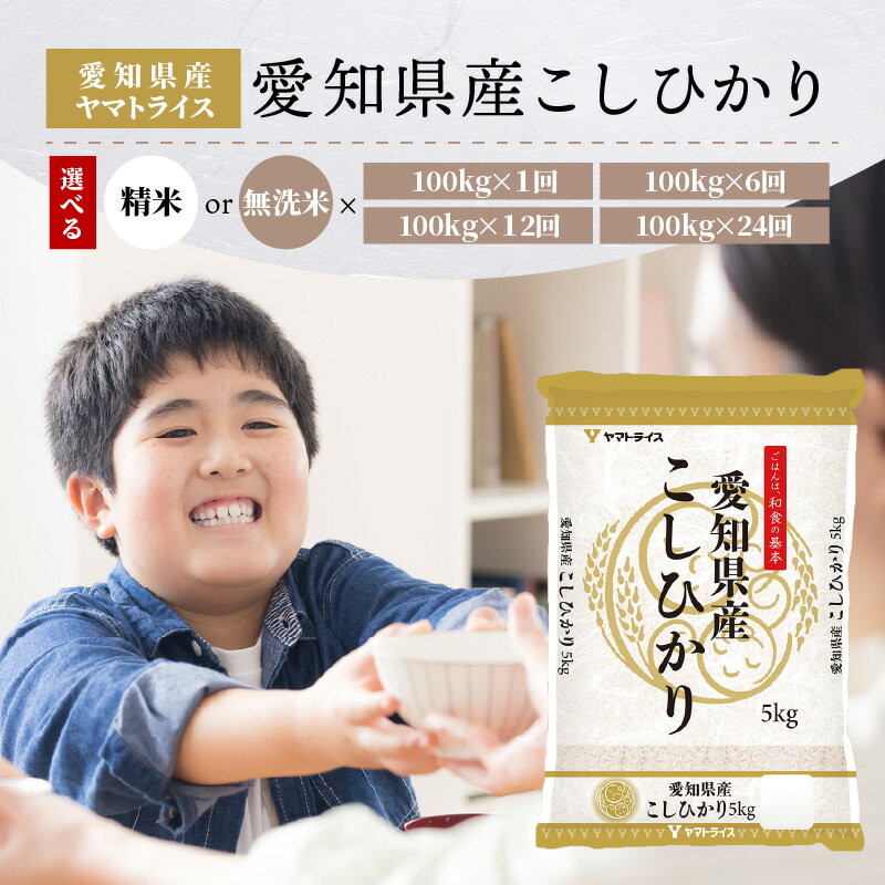 米 愛知県産 コシヒカリ 100kg 令和5年産 精米 無洗米 回数 選べる 白米 国産 安心 安全 ヤマトライス 冷めてもおいしい ツヤ おにぎり お弁当 お米 食品 食べ物 お取り寄せ 愛知県 碧南市 送料無料