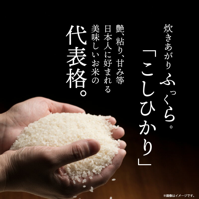 【ふるさと納税】米 愛知県産 コシヒカリ 100kg 令和5年産 精米 無洗米 回数 選べる 白米 国産 安心 安全 ヤマトライス 冷めてもおいしい ツヤ おにぎり お弁当 お米 食品 食べ物 お取り寄せ 愛知県 碧南市 送料無料