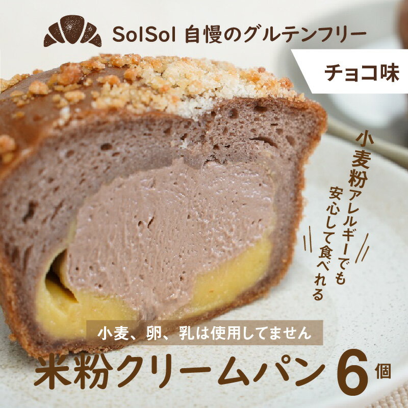 【ふるさと納税】グルテンフリー 米粉クリームパン 6個　チョコ味