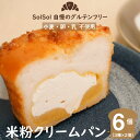 【ふるさと納税】グルテンフリー 米粉 クリームパン 6個（ 