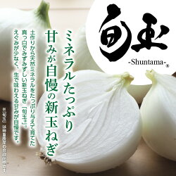 【ふるさと納税】【先行予約】 とにかく甘い 新玉ねぎ 食べ比べ定期便 計 28kg 生がおいしい 神重農産のブランド玉ねぎ 旬玉 玉ねぎ 定期便 7kg × 4回 国産 ミネラル オニオンスライス 玉ねぎステーキ オニオンスープ 野菜 お取り寄せ 愛知県 碧南市 送料無料･･･ 画像1