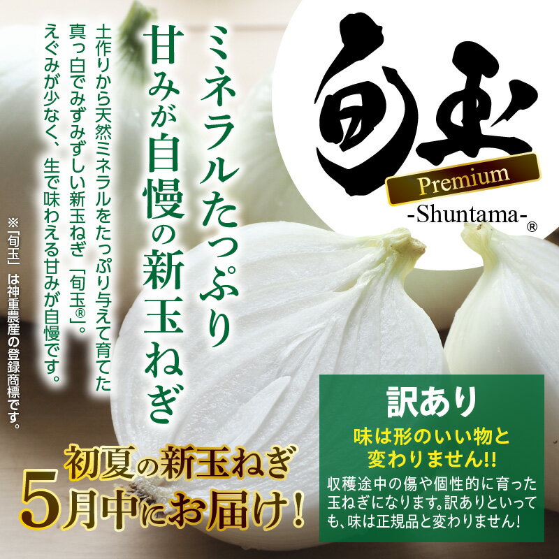 【ふるさと納税】【先行予約】 訳あり 期間限定 とにかく甘い 新玉ねぎ 旬玉 7kg 5月発送 初夏の新玉ねぎ 旬玉プレミアム 神重農産 ブランド玉ねぎ 玉ねぎ 国産 生がおいしい オニオンスライス 玉ねぎステーキ オニオンスープ お取り寄せ 野菜 愛知県 碧南市 送料無料