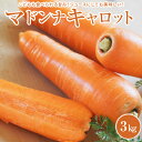 【ふるさと納税】<『どっちのふるさと?』で紹介されました!> にんじん マドンナキャロット 3kg 大小サイズ混合 12本前後 こどもも食べられる甘み ジュース...